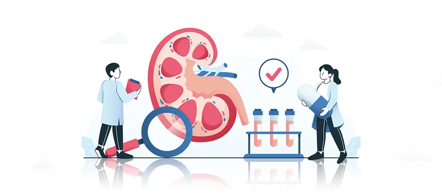 Kidney Function Tests